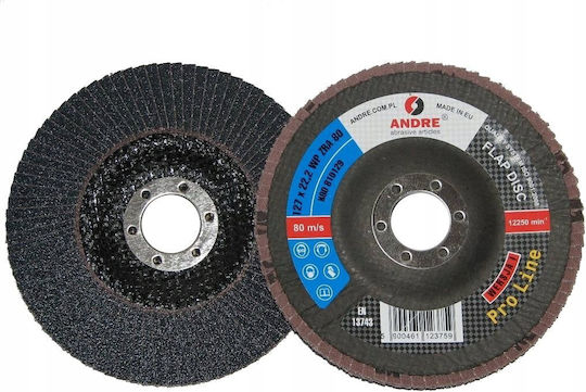 Andre Sciernica Flap Disc 125mm P 80 Zirconium Pro Line Version I