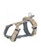 Premium Trekking Harness Dog Sand Graphite S–m 44–53 Cm/20 Mm