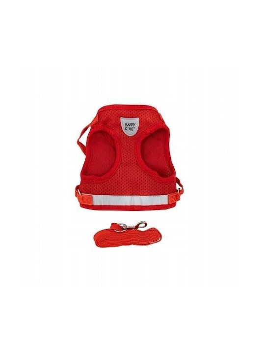 Set Ham Pentru Câini + Curea Roșie Poliester Dimensiune X-Small Elemente Reflectorizante