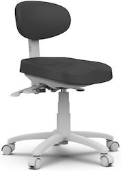 Digas G. Medical Stool with Backrest Gray 25986-01 Digas G. Medical Stool with Backrest Gray 25986-01