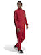 M 3s Sweatpants Set Glänzend mit Gummizug Rot