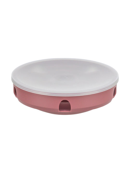 Jucărie Educativă Labirint De Activitate Pentru Pisici Din Plastic 18 Cm