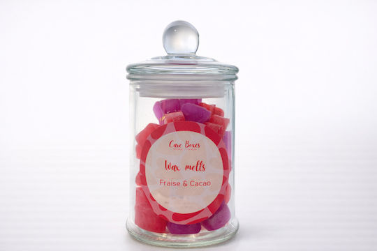 Αρωματικό Wax Melt Aegean Veil με Άρωμα Σοκολάτα HWM0003-6