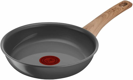 Tefal Renew 20см Тиган