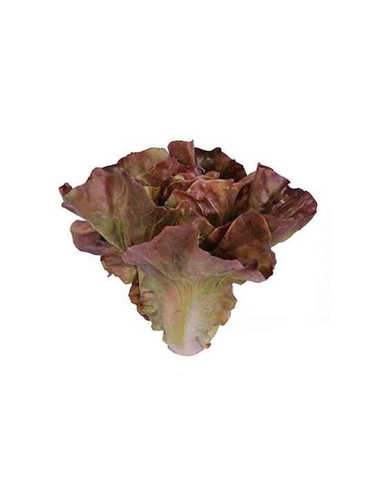 Decorative Green Salad Raki Loollo Rossa 18x15cm