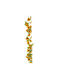 Decorative Garland Iliadis