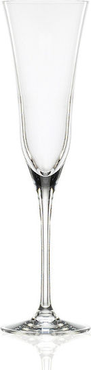 XM-Casa Set Of Crystal Goblet Champagne Glasses 170ml 6 Pieces