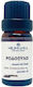 Rhododendron Duft Aromatische Öle 10ml MeliMpampa