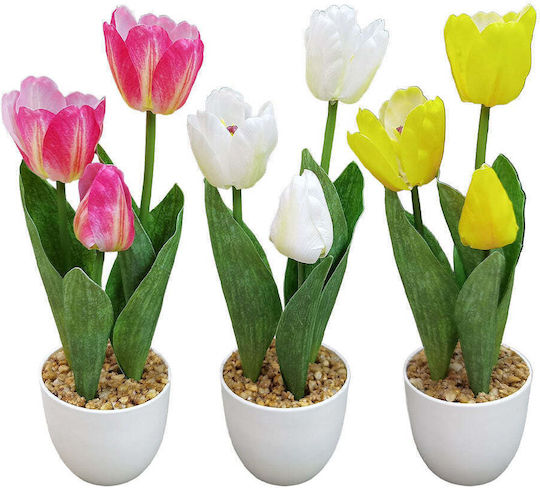 Topfpflanze 3 Tulpen 34 cm 3 Farben 1 Stück Topfpflanze 3 Tulpen 34 cm 3 Farben 1 Stück