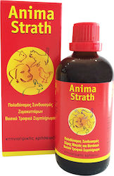 Anima Strath Dog and Cat Multivitamins 100ml for Immune Enhancement