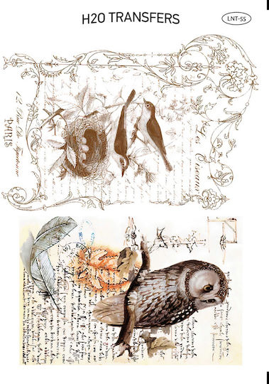 Decoupage Easy Transfer Schwalben Eule Lnt-55 25x35cm