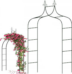 Double Garden Metal Arch Steel Climbing Flowers 150 X 38.5 X 262 Cm Black