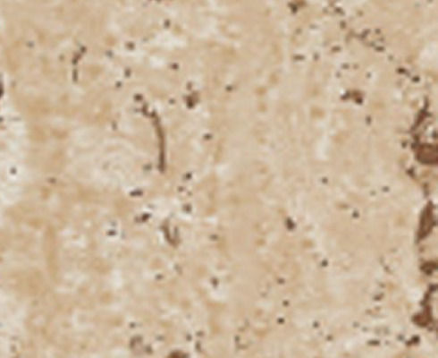Αυτοκολλητο Φυλλο Travetin 67,5 Cm X 200 Cm