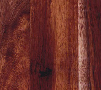 Αυτοκολλητο Φυλλο Acacia 45 Cm X 200 Cm