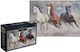 Puzzle 2D 1000pcs