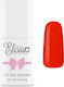 Elisium Gel Nail Polish 033 8ml