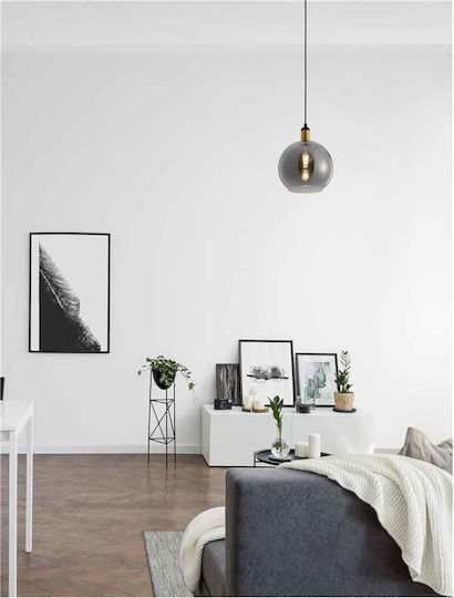 Nova Luce Smoky