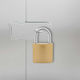 vidaXL Brass Padlock Horseshoe With Key 43mm 2 Pieces