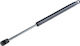 Gas Bonnet Shock Absorber Engine Bmw Z3 Coupe 1997-2003 3.2l Coupe Bmw Z3 Coupe 1997-2003 2.8l Coupe Bmw Z3 Coupe 1997-2003 3.0l Coupe