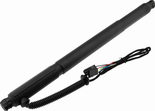 Gas Trunk Shock Luggage Compartment Bmw X6 2007-2014 4.4l Suv Bmw X6 2007-2014 3.0l Suv