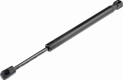 Αμορτ Αερίου Χώρος Αποσκ Φόρτωσης Audi A6 C6 2004-2011 4.2l Sedan Audi A6 C6 2004-2011 2.0l Sedan Audi A6 C6 2004-2011 5.0l Sedan Αμορτ Αερίου Χώρος Αποσκ Φόρτωσης Audi A6 C6 2004-2011 4.2l Sedan Audi A6 C6 2004-2011 2.0l Sedan Audi A6 C6 2004-2011 5.0l Sedan
