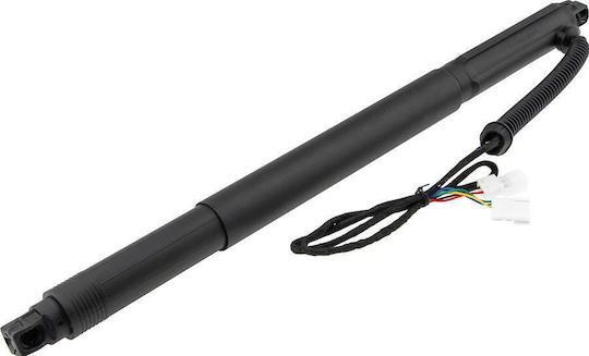 Gas Trunk Shock Luggage Compartment Bmw X6 2007-2014 4.4l Suv Bmw X6 2007-2014 3.0l Suv