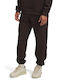 Curry Herren-Sweatpants mit Elastik Braun