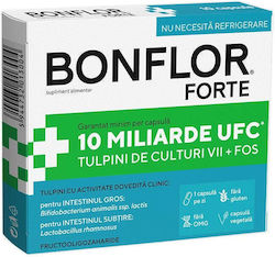 Fiterman Pharma Bonflor Forte 10 Capsule Fiterman Pharma Bonflor Forte 10 Capsule