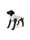 Barry King Dog Jacket Beige Size M 40