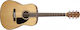 Fender Cd60 Na V3 Acoustic Guitar