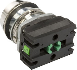 Kontrollschalter 30mm Gelb 2z Selbstrücklauf W0-nef30-uk 2x G