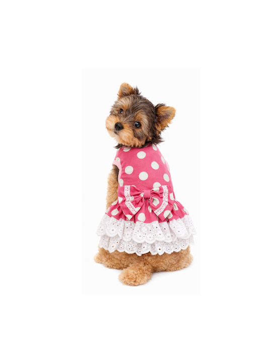 Doggy Dolly Spring Summer Polka Dot Dog Shirt Xsmall