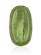 By Bone By Bone Servierplatte Oval Aus Porzellan Grüne