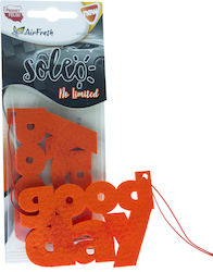 Soleo No Limited Car Scent Citrus-spicy Felt Hanger 30 Days