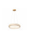 Spot Light Pendant LED Light with Adjustable White Light