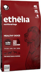 Ethelia Healthy Dogs for Adult & Puppies 12kg Ethelia Healthy Dogs for Adult & Puppies 12kg