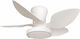 Spot Light Ceiling Fan 70cm with Light White