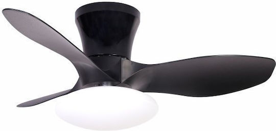 Spot Light Ceiling Fan 80cm with Light Black