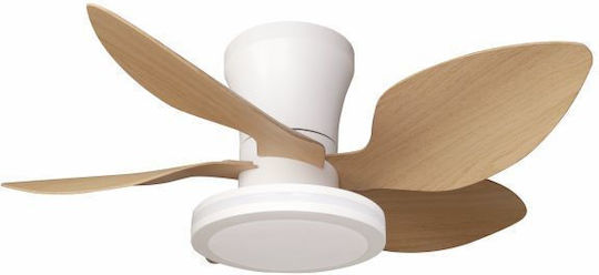Spot Light Ceiling Fan 70cm with Light Fixture Brown / White
