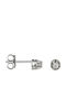Stud Earrings in 18K White Gold with Diamond
