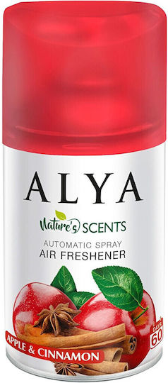 Home Fragrance with Cinnamon Perfume 65535 250ml