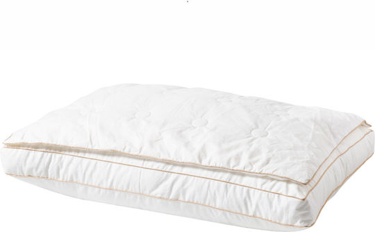 Kentia Latex 50x70cm