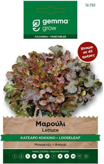 Gemma Lettuce Curly Seeds