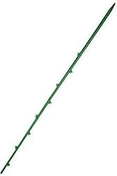 Plant Supports 5pcs Asta
