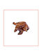 Paradise Waterfalls Decorative Frog Made of Wood 68x68cm