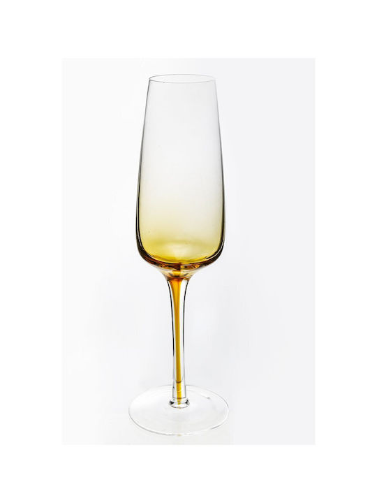 Domoletti Set of Champagne Glasses Made of Glass in Honey Colour Goblets 6 Pieces