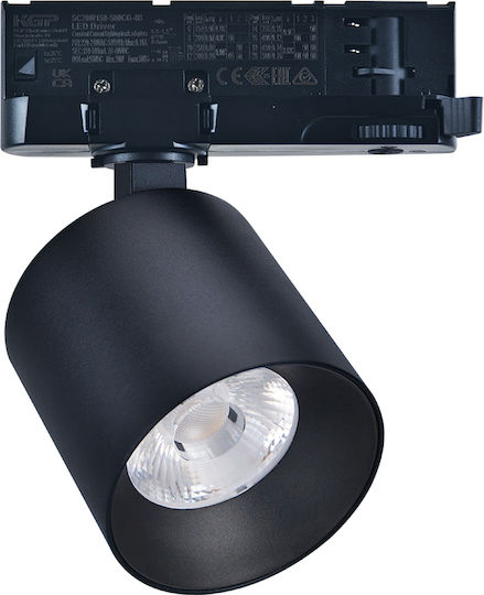 Adeleq LED Natural White Spot In Black Colour