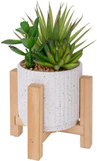 Keramischer Kaktus mit Holzbasis 10x9x20cm Iliadis 92910 Set 2 Stücke Material Holz