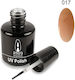 Amora Gel Nail Polish 017 10ml