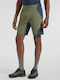 Men's Bermuda Green